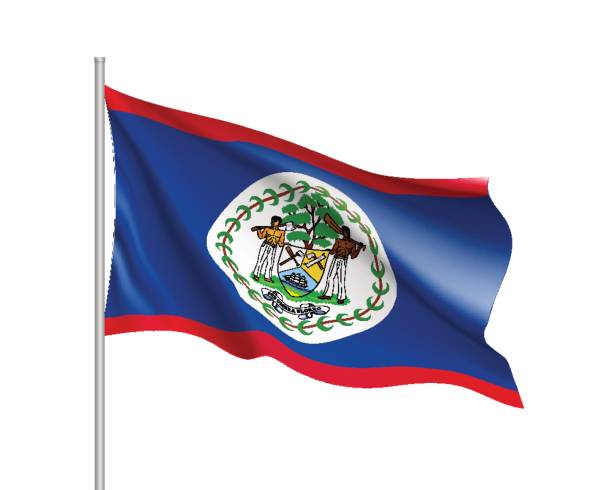 illustrazioni stock, clip art, cartoni animati e icone di tendenza di bandiera del belize - flag of belize