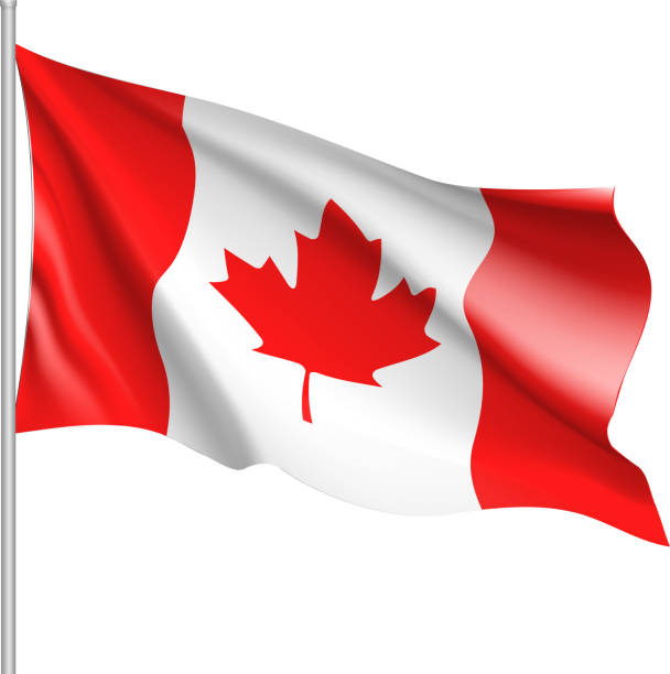 ilustraciones, imágenes clip art, dibujos animados e iconos de stock de agitando bandera de canadá - canadian flag illustrations