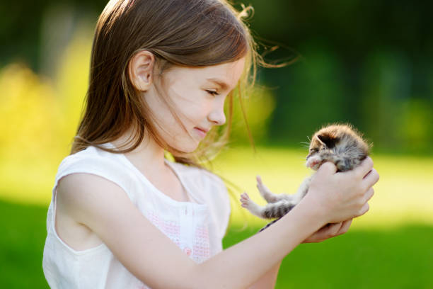 istock Adorable little girl playing with small kitten 843889684