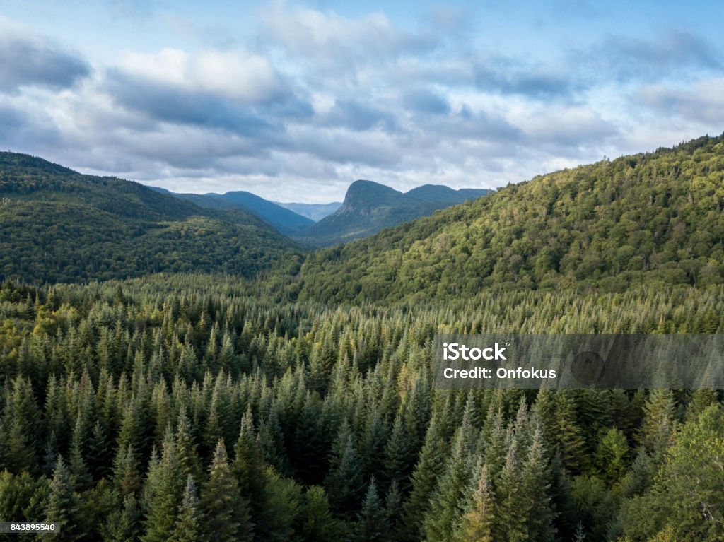 Aerial View of Boreal Nature Forest and Mountain in Summer 4k UHD Video of an Aerial view of a boreal forest and mountain in Quebec, Canada in summer Boreal Forest Stock Photo