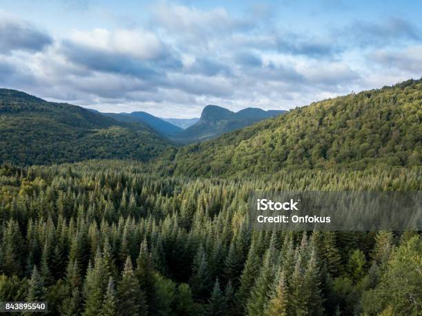 Aerial View Of Boreal Nature Forest And Mountain In Summer Stock Photo - Download Image Now
