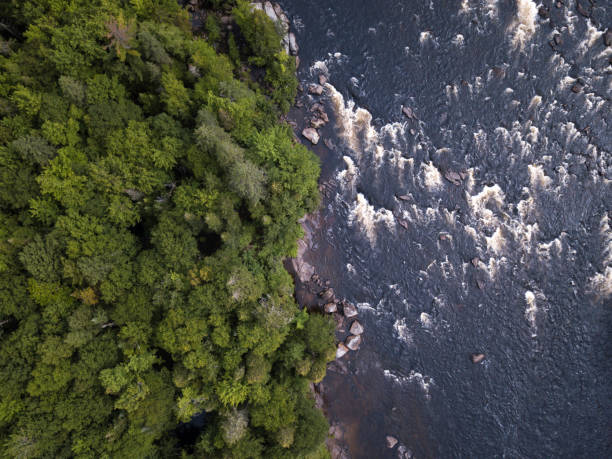 vue aérienne de la forêt boréale de nature et de la rivière en été - forest aerial view taiga treetop photos et images de collection