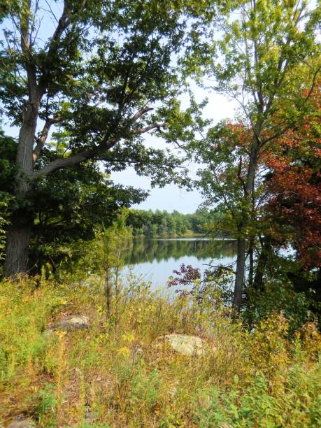 istock SUMMER DAY IN DESERT LAKE, ONTARIO, CANADA 843899178