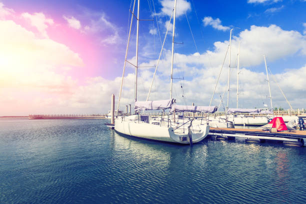 istock sailboat moored in the harbor 843909462