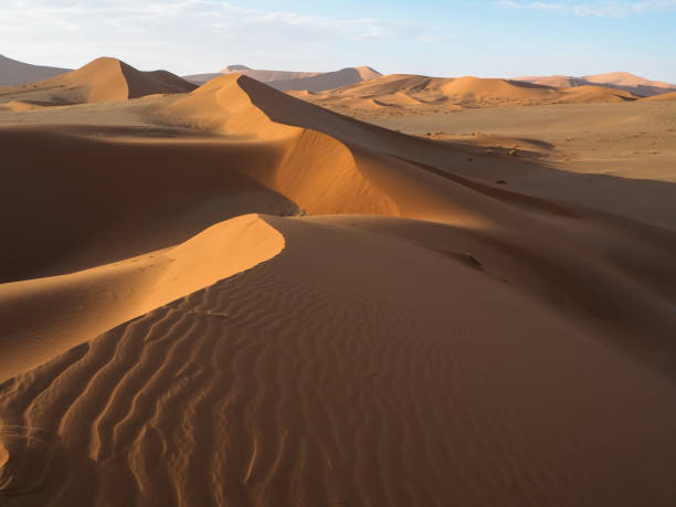 istock Natural curved ridge line and wind blow pattern of rusty red sand dune with shade and shadow on vast desert landscape background, Sossus, Namib desert 843910028