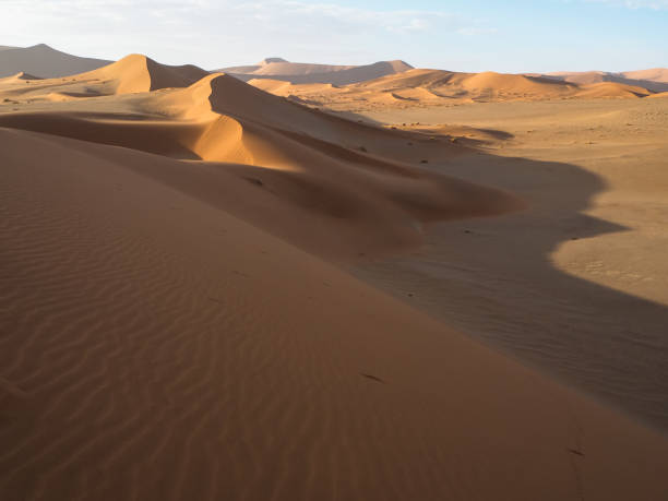 istock Beautiful natural curved ridge line and wind blow pattern of rusty red sand dune with soft shadow on vast desert landscape background, Sossus, Namib desert 843910030