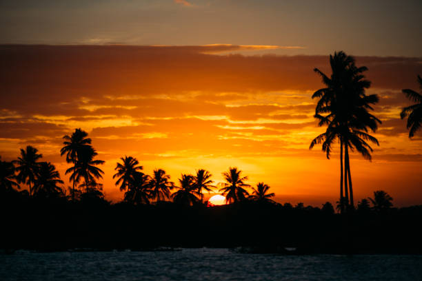 istock Sunset in Pontal do Maracaipe - Pernambuco - Brazil 843910402