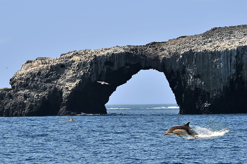 Scene from Channel Islands National Park