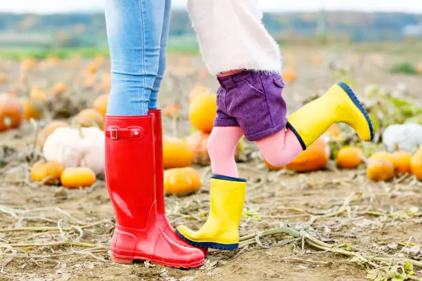 Legs of young woman and her little kid girl daugher in rainboots. Woman in red gum boots, child in yellow shoes. On pumpkin field, outdoors.