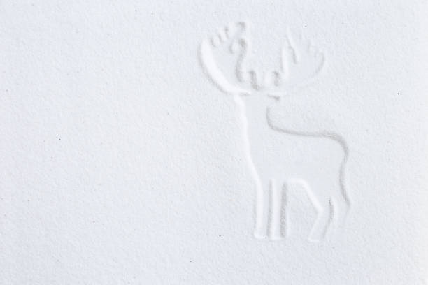 Reindeer print on white sand background, white Christmas concept