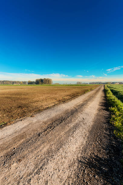 istock Swiss village surrounded by plowed fields. 843928358
