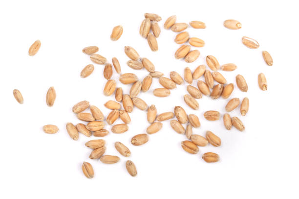 istock wheat grains isolated on white background. Top view 843930778