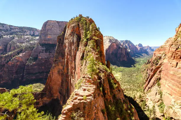 views to zion national park from angel landing hike