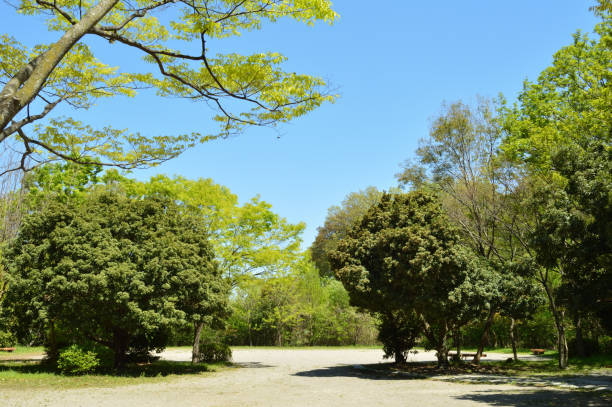 Heiwa Park,Park with a blue sky and trees