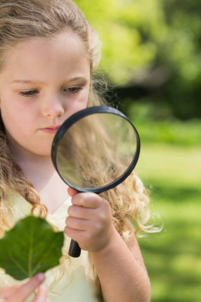 istock Girl holding leaf and magnifying glass at park 843942042