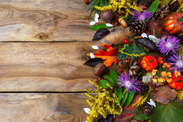 istock Fall greeting with purple autumn flowers on wooden table 843950778