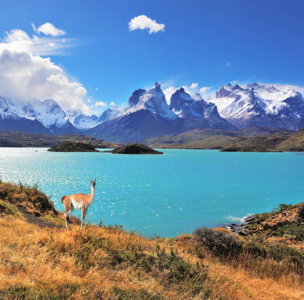 istock Away in the clouds - the cliffs of Los Kuernos 843951882