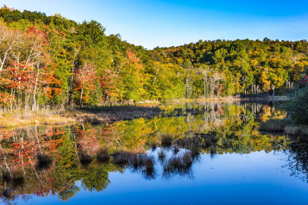 istock The pond is like a mirror 843951934
