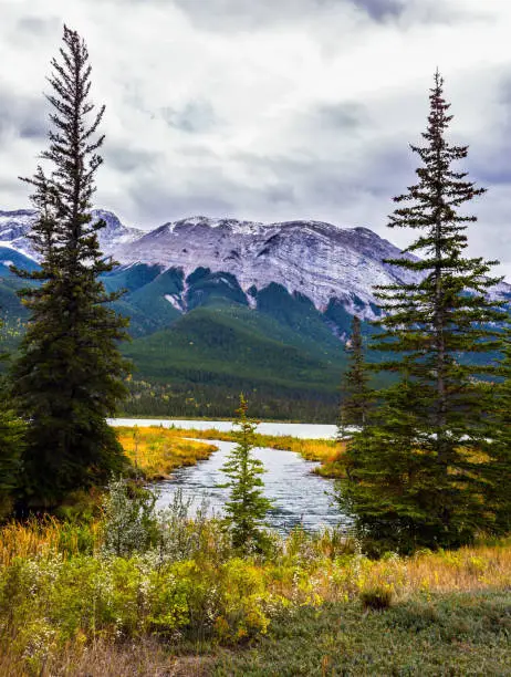 Magnificent journey through the Rocky Mountains of Canada. The valley along the Pocahontas road. Concept of active and ecological tourism. Shallow-water lake, firs and mountain