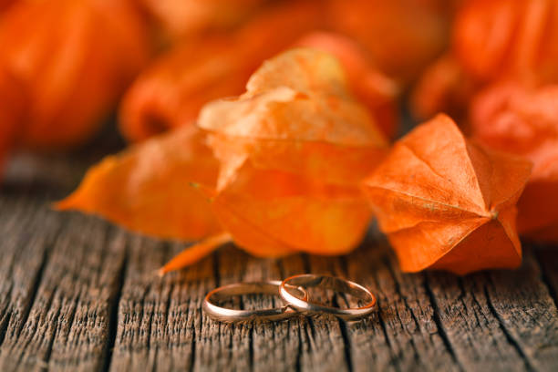 istock Wedding Rings on Red Autumn Leaves 843961994