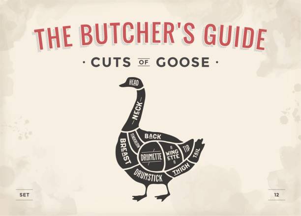 illustrations, cliparts, dessins animés et icônes de coupe de viande ensemble. diagramme de boucher affiche, régime - oie - goose meat