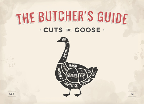 Cut of meat set. Poster Butcher diagram, scheme - Goose. Vintage typographic hand-drawn goose silhouette for butcher shop, restaurant menu, graphic design. Meat, poultry theme. Vector Illustration