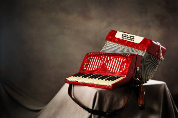 Accordion on black.