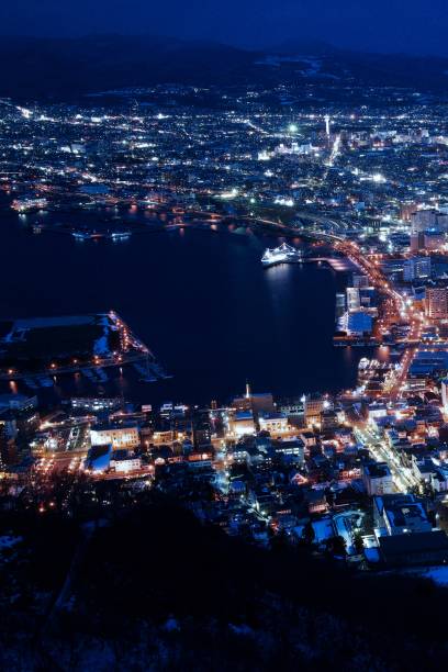 istock Night view of Hakodate 843969790