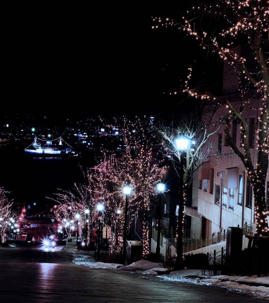 istock Night view of Hakodate 843972334