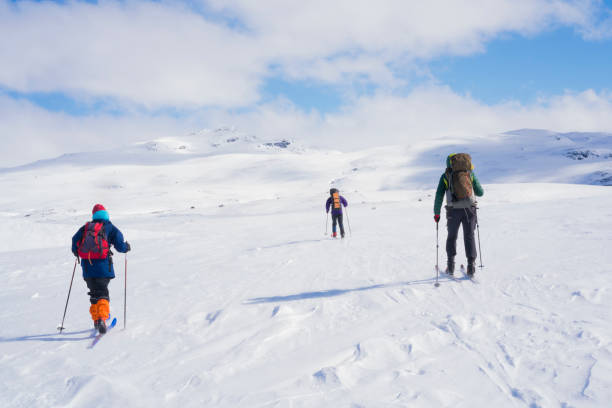istock Three Back Country skiers on Hardangervidda plane in Norwey 843973200