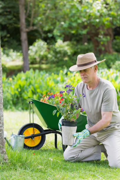 istock Mature man engaged in gardening 843973336