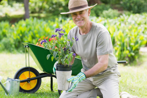 istock Smiling mature man engaged in gardening 843973348