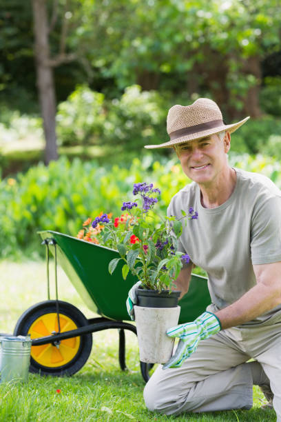 istock Smiling mature man engaged in gardening 843973368