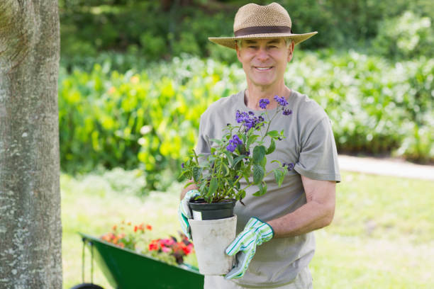 istock Smiling mature man engaged in gardening 843973402