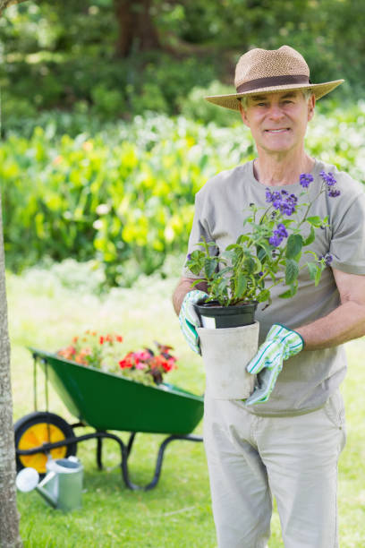 istock Smiling man holding potted plant in garden 843973436