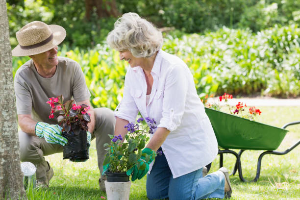 istock Couple engaged in gardening 843973712