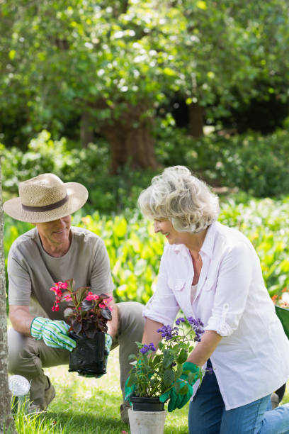 istock Couple engaged in gardening 843976060
