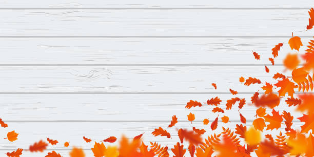 herbst blatt muster autumanl fallende blätter auf vektor hölzernen hintergrund fallen - autumn leaf falling panoramic stock-grafiken, -clipart, -cartoons und -symbole
