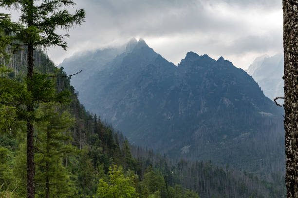 istock Inspiring Mountains Landscape, cloudy day in summer Tatras 843990044