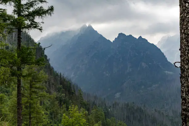 Inspiring Mountains Landscape, cloudy day in summer Tatras, woods and mountain ridge over cloudy sky, Slovakia