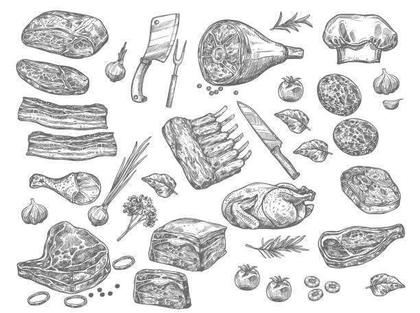 Vector sketch icons of meat for butchery shop Meat sketch icons set for butchery products. Vector isolated set of farm fresh meat products of beef loin or tenderloin filet, mutton ribs or steak and pork meaty ham brisket, chicken or turkey butchers shop illustrations stock illustrations