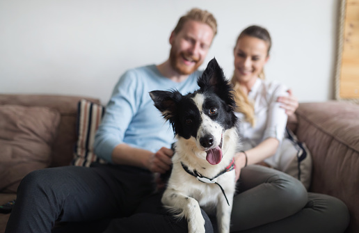 Beautiful couple relaxing at home and loving their pet