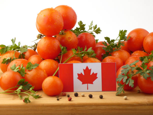 kanadyjska flaga na drewnianym panelu z pomidorami odizolowanymi na białym tle - basil herb plant organic zdjęcia i obrazy z banku zdjęć