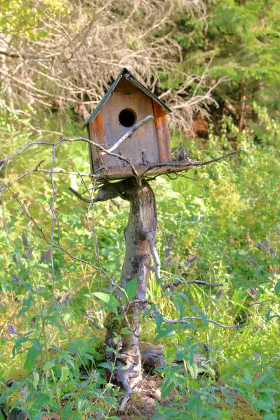 The picture was taken in Ukraine, in the Carpathian Mountains. In the photo an unusual bird house made of wood.