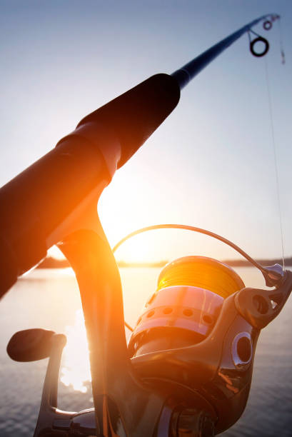istock Fishing in a lake 844007222
