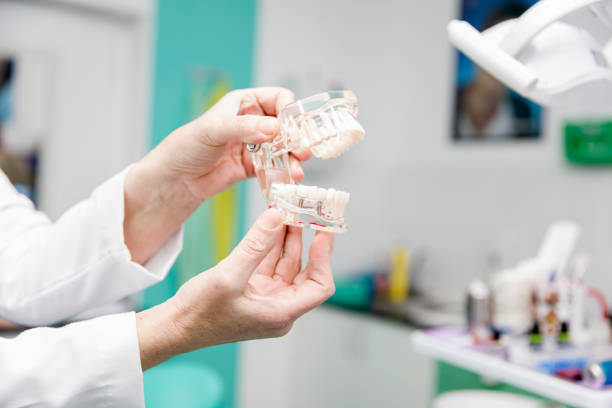 istock Female dentist holding in the hand dentures model 844012730