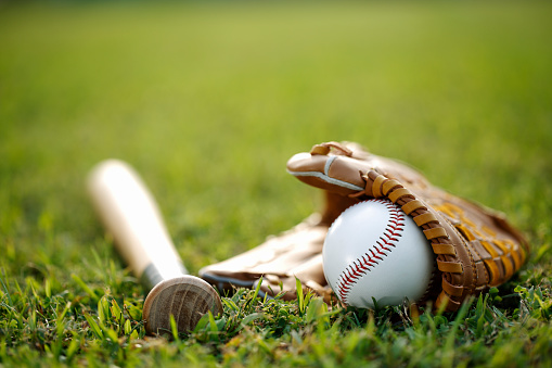 Baseball and glove Bat equipment lying on a green meadow