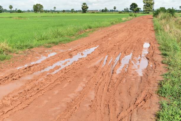 pneu de muitos veículos na estrada de lama do solo na zona rural na época das chuvas - mud car wet horizontal - fotografias e filmes do acervo