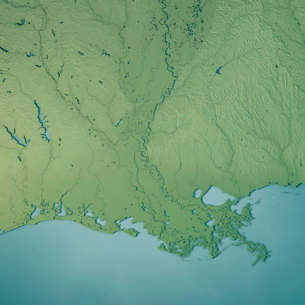 istock Louisiana State USA 3D Render Topographic Map 844017562