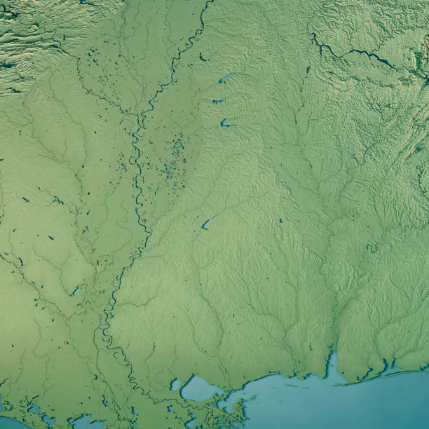 istock Mississippi State USA 3D Render Topographic Map 844019310